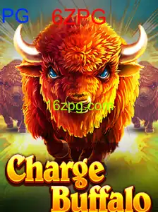 6ZPG Cassino Online